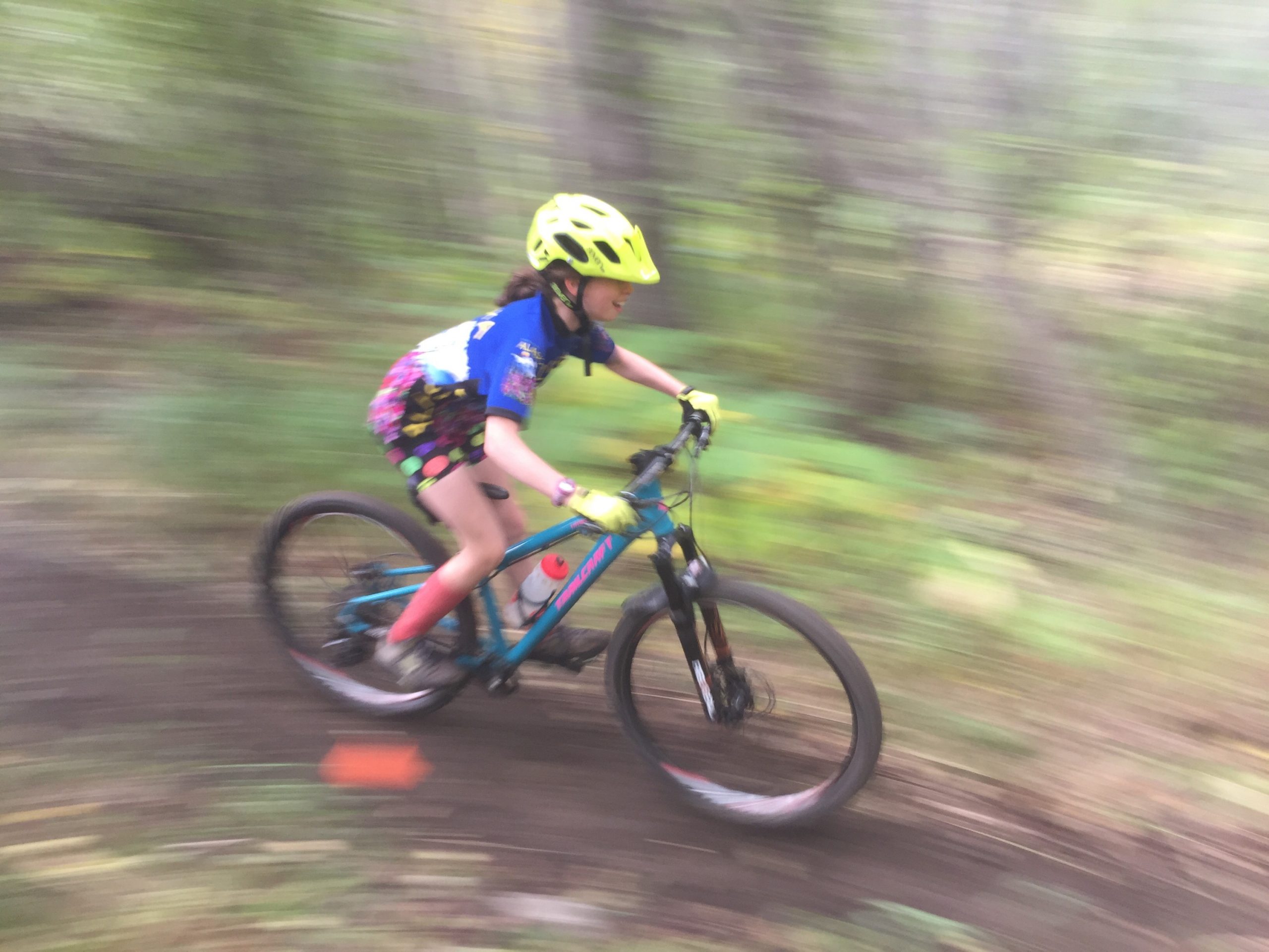 QuinzeeCrossRace